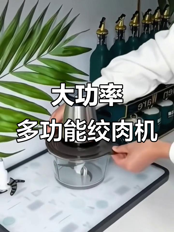 志高2升大容量绞肉机,轻松打碎肉类和面团