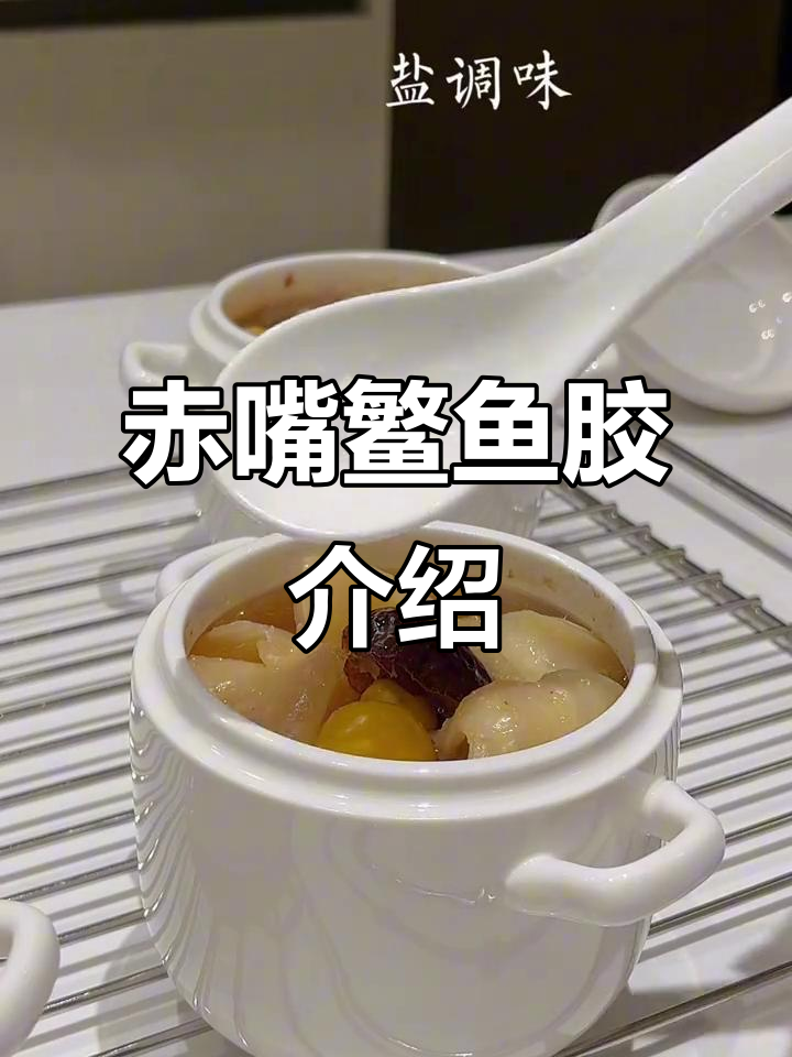 赤嘴鳘鱼胶:滋补美容,抖音美食创作者推荐