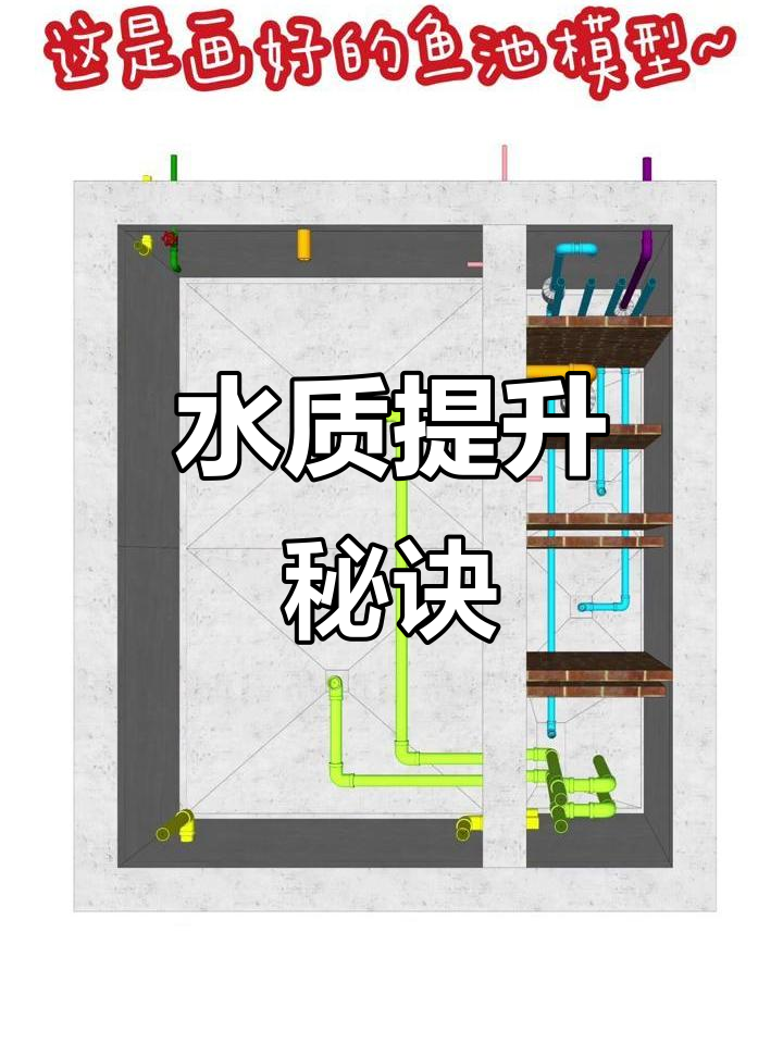 揭秘锦鲤鱼池水循环,高效过滤让水质提升50%!