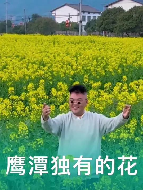 这种话我不相信你的城市也有!#油菜花 #油菜花打卡 #旅行推荐官