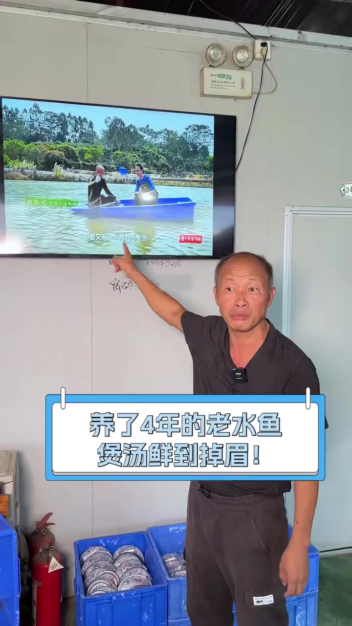 养了4年的老水鱼,煲汤鲜到掉眉!