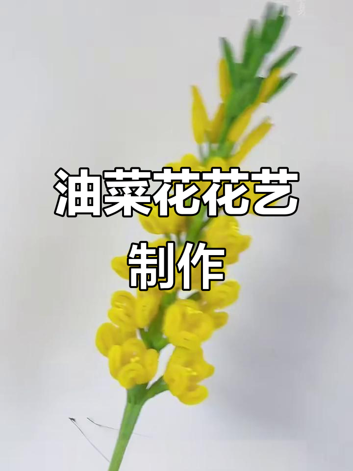 手工油菜花教程：用扭棒打造春天的美丽花朵