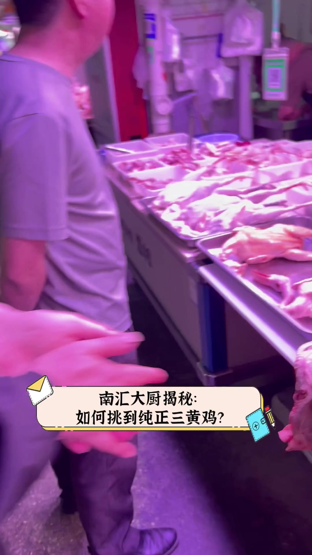 南汇大厨揭秘:如何挑到纯正三黄鸡?