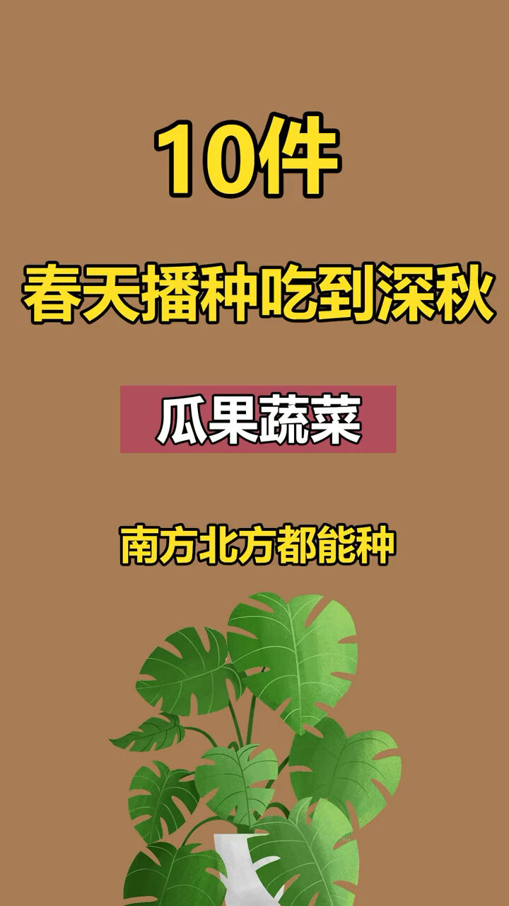 10种春天播种一直可以吃到深秋的瓜果蔬菜南方北方都能种植