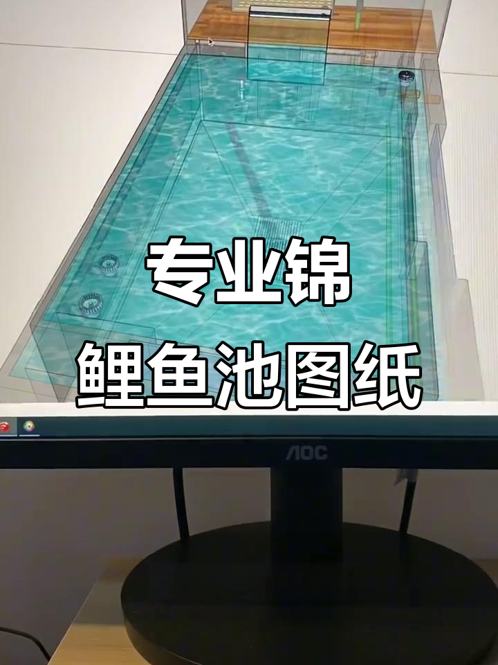 庭院专业锦鲤鱼池设计图，过滤系统全解析