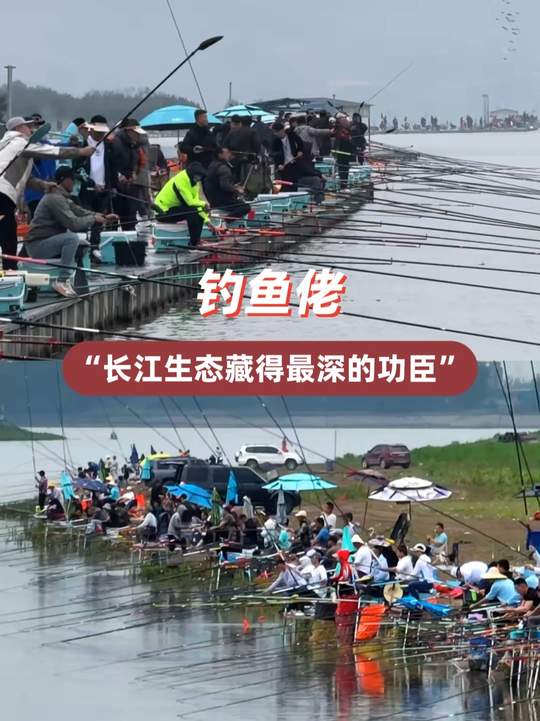 不是怕鱼被钓光，而是钓鱼佬打窝太猛