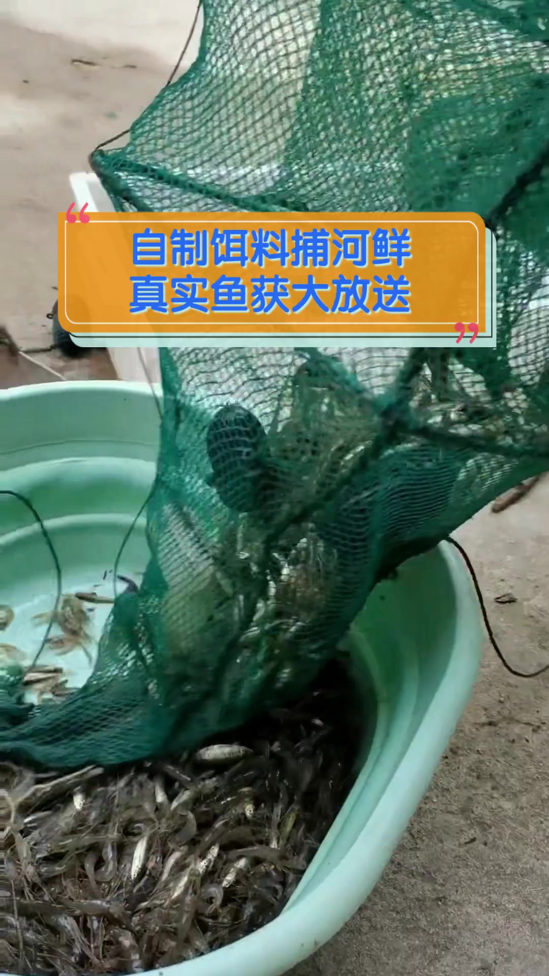 自制饵料捕河鲜,真实鱼获大放送