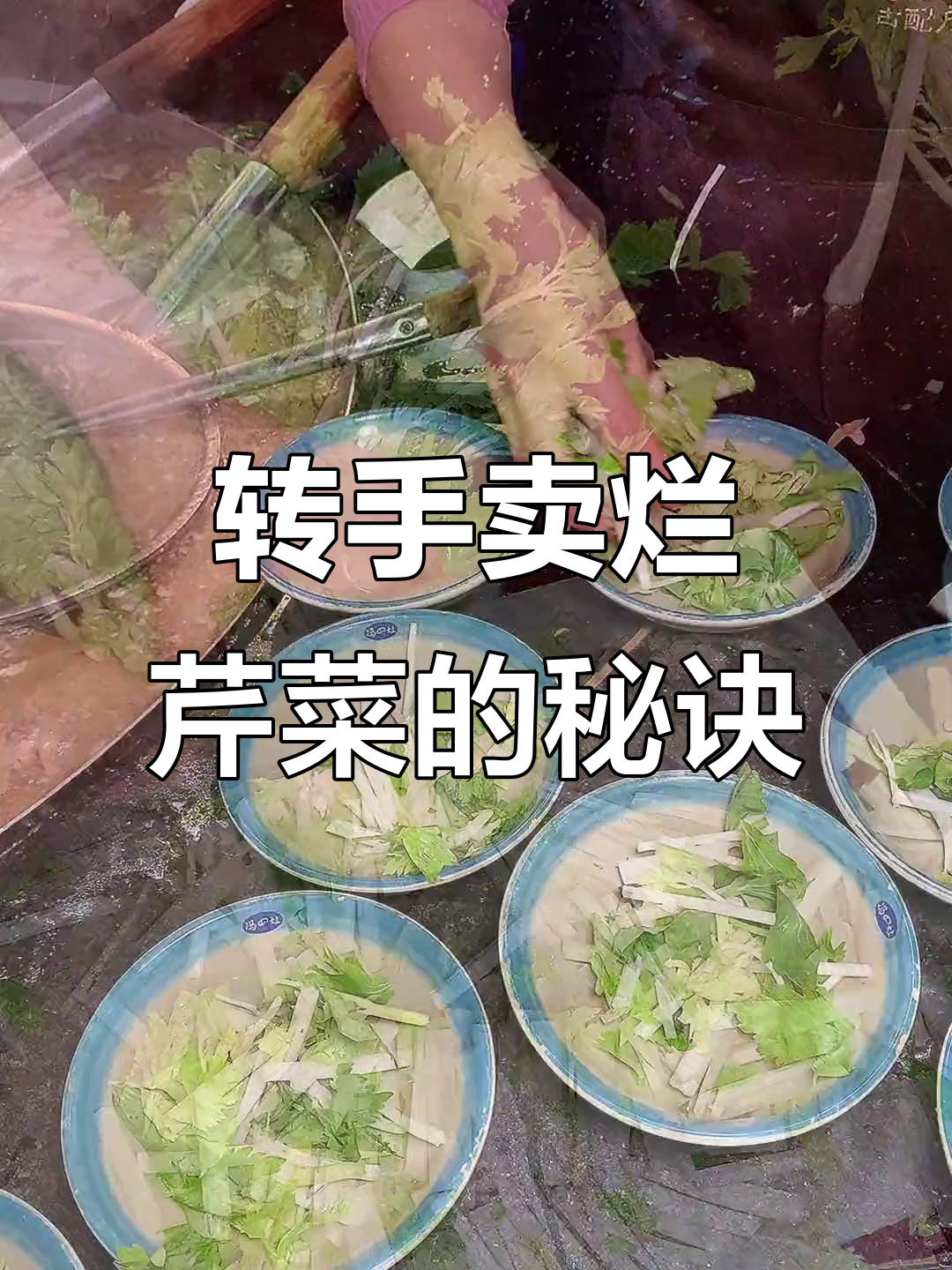 菜市场丢掉的烂芹菜,我转手就卖给你!