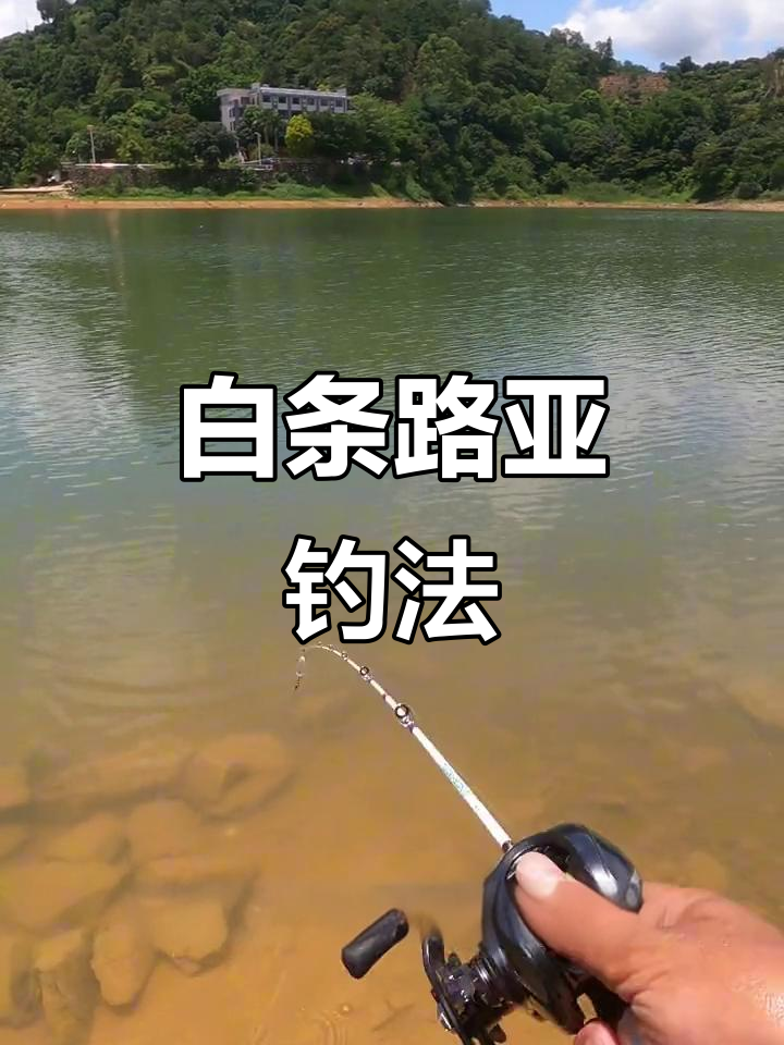 路亚白条钓鱼技巧：选线、假饵与操作手法全解析