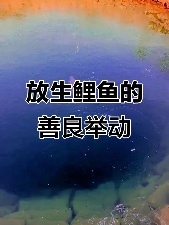 男子放生鲤鱼,寓意好运与吉祥