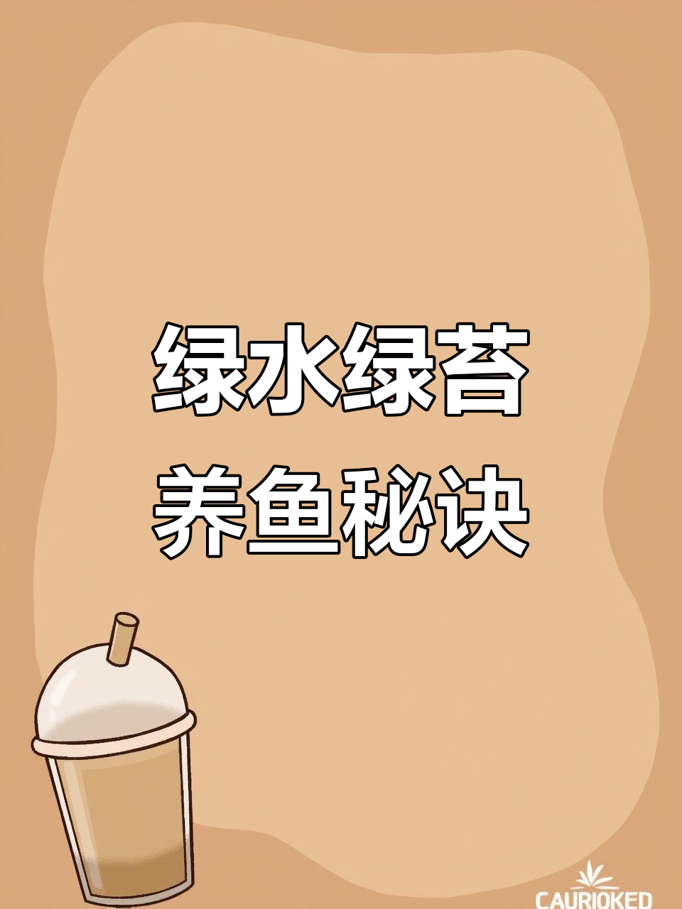 泡沫箱养鱼技巧：如何打造古法生态缸