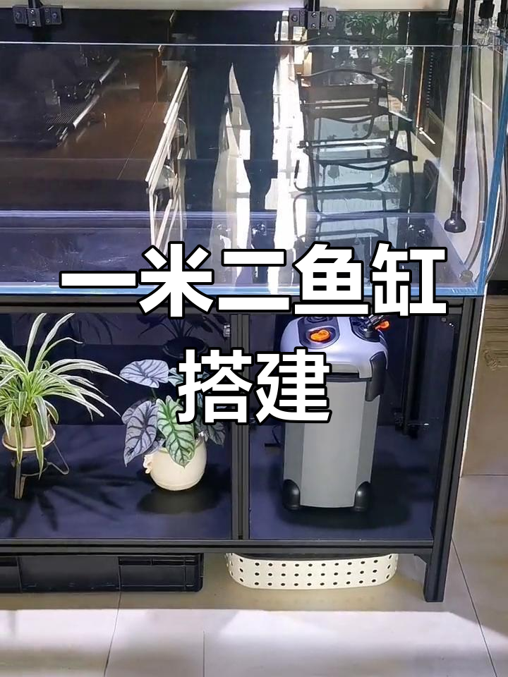 1.2米鱼缸搭建全攻略:设备、灯光与框架详解