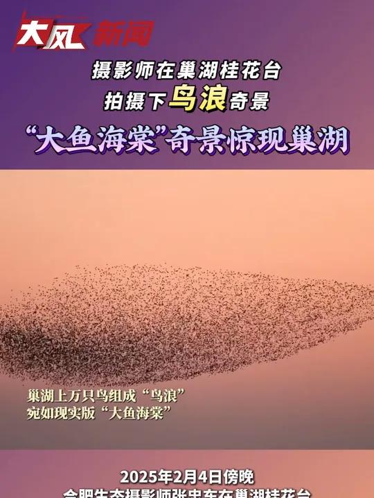摄影师在巢湖拍下鸟浪奇景,“大鱼海棠”奇景惊现巢湖