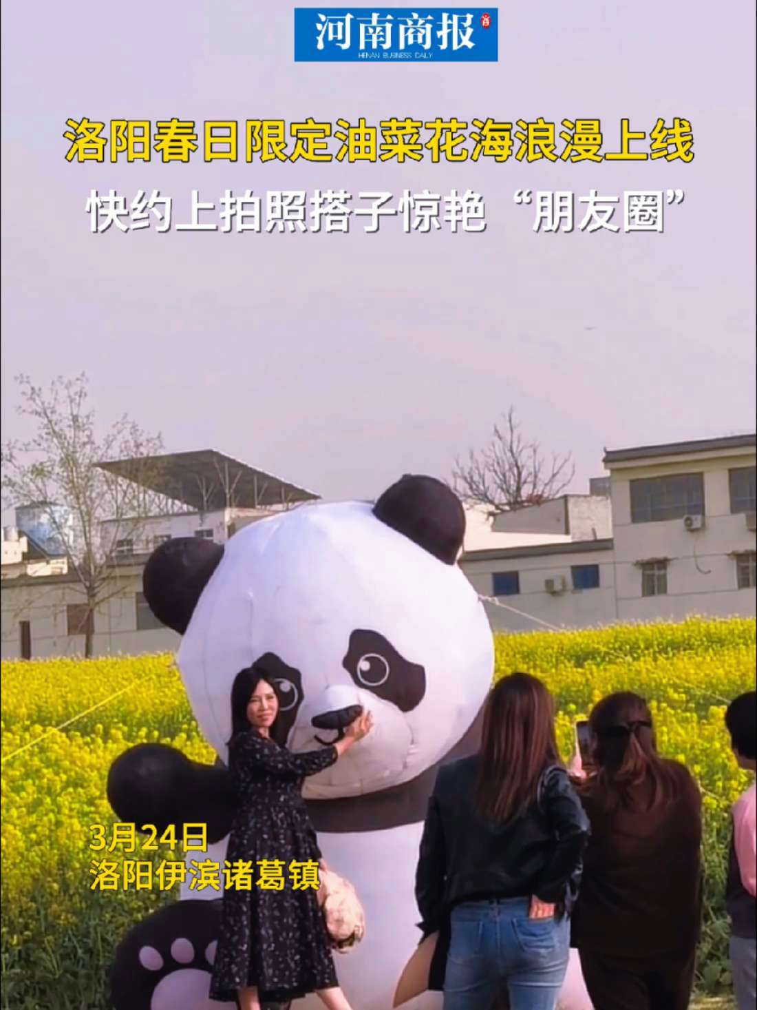 洛阳春日限定油菜花海浪漫上线,快约上拍照搭子惊艳“朋友圈”