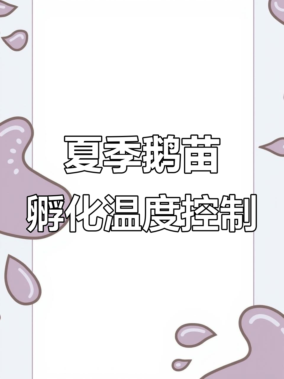 夏季鹅苗孵化场如何精准加温,确保小生命健康成长