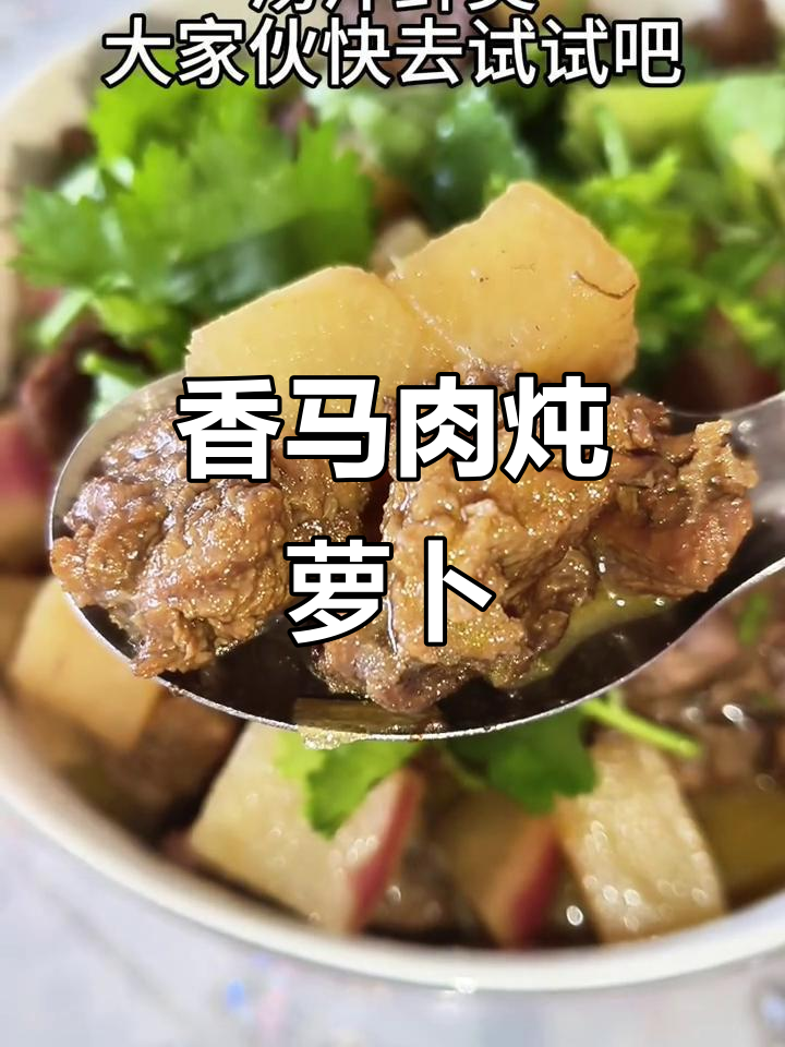 马肉炖萝卜,香气扑鼻无膻味,汤汁鲜美让人停不下来
