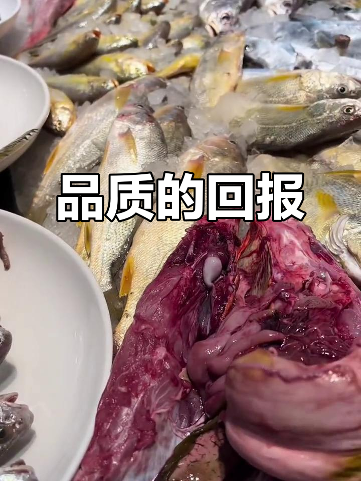 看到冰台上的鲜鱼,所有努力都变得有意义