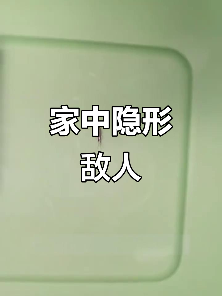 衣鱼虫,藏匿于阴暗角落的害虫,危害书籍与衣物