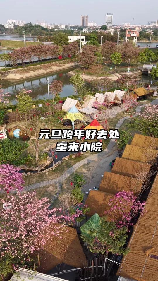 元旦聚会还没想好去哪里?那就来顺德的蚕来小院吧!环境优美,最适合聚会团建打卡好去处,元旦期
