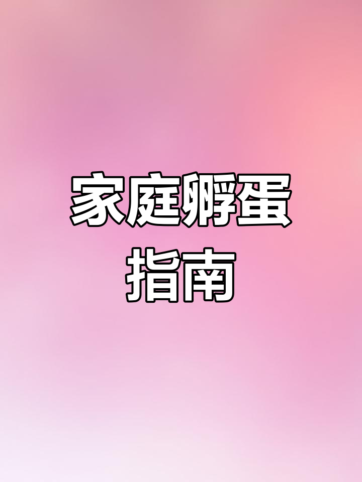 在家轻松孵化小鸡,简单又有趣!