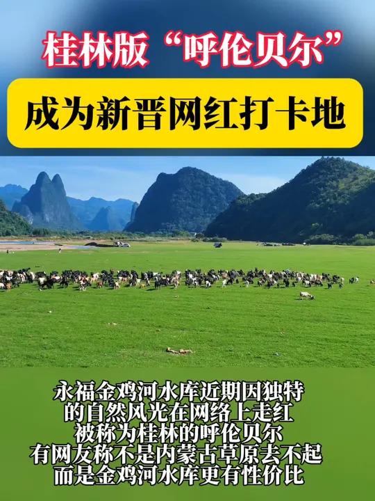 桂林的呼伦贝尔 金鸡河水库网络走红 桂林 永福 大自然 金鸡河水库 走红