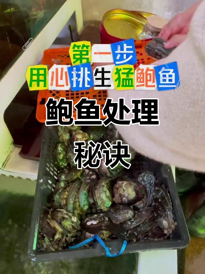 鲍鱼处理小技巧，工具很重要！搭配西洋参更美味