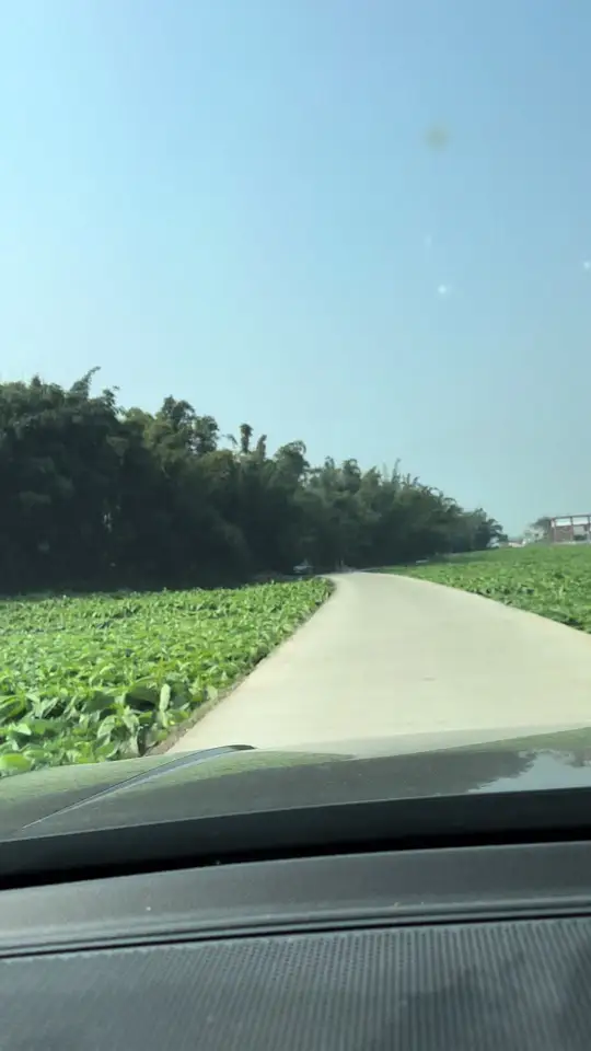 不想开面馆就回家种青菜杆杆,这是从小长大的地方!