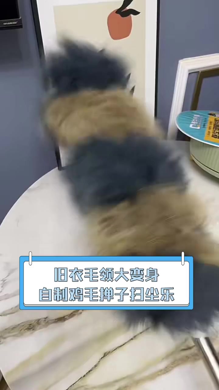 旧衣毛领大变身,自制鸡毛掸子扫尘乐