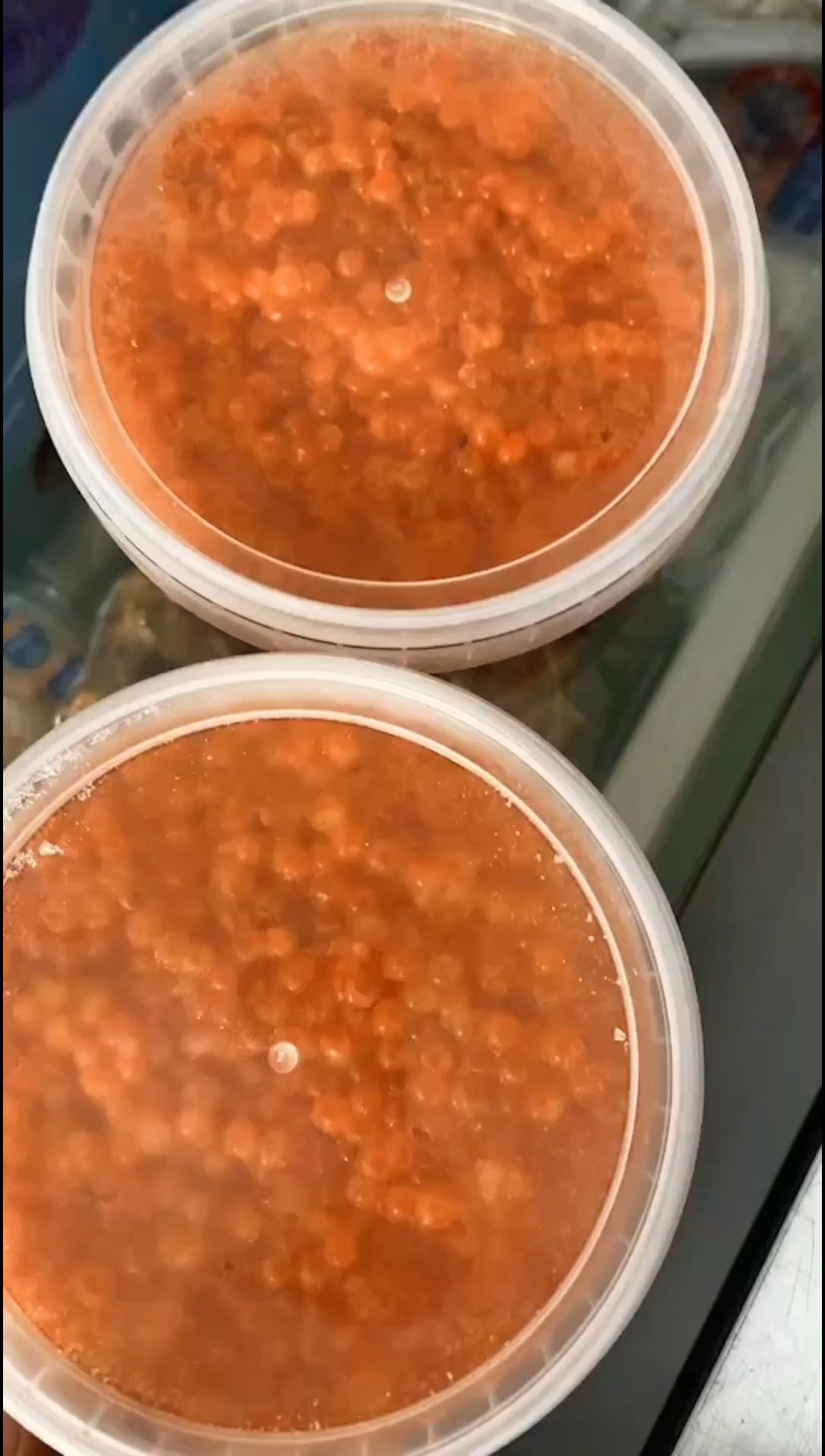 俄罗斯大马哈鱼籽食用方法1直接生吃据说这样最有营养稍微有点咸