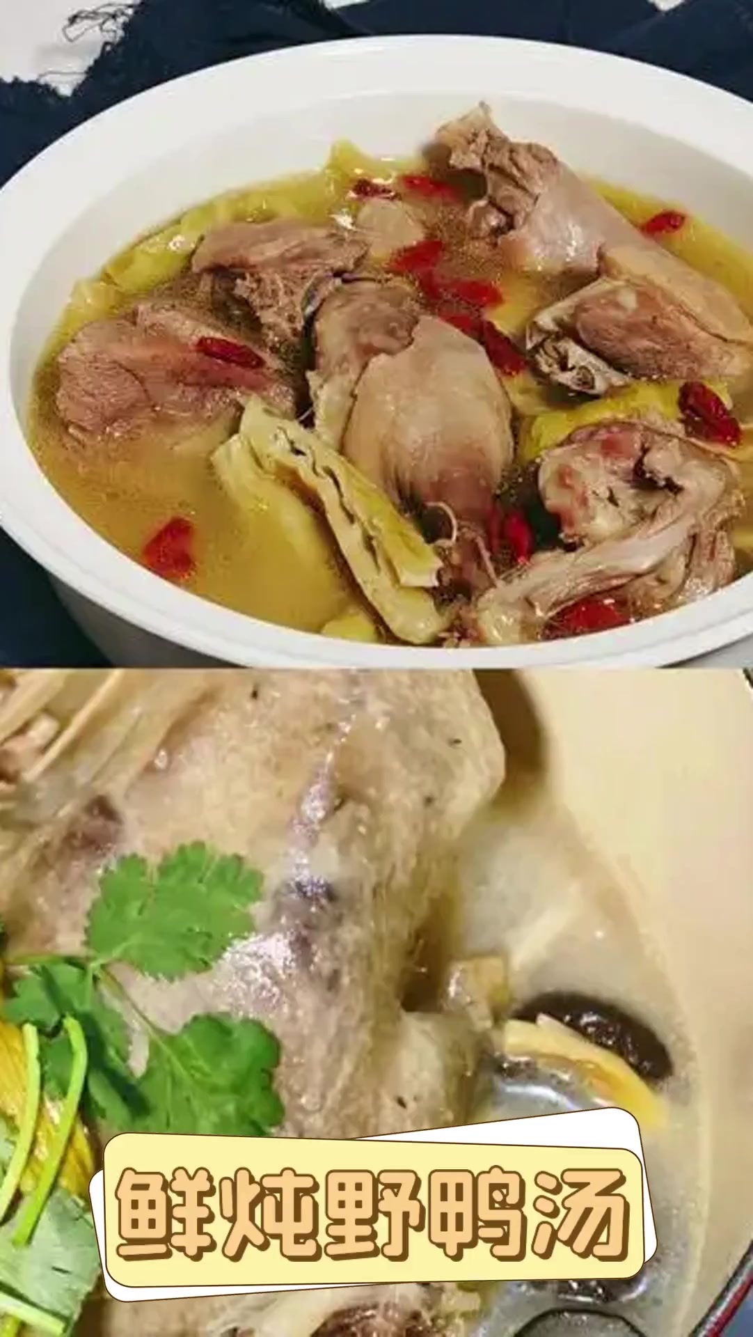 鲜炖野鸭汤