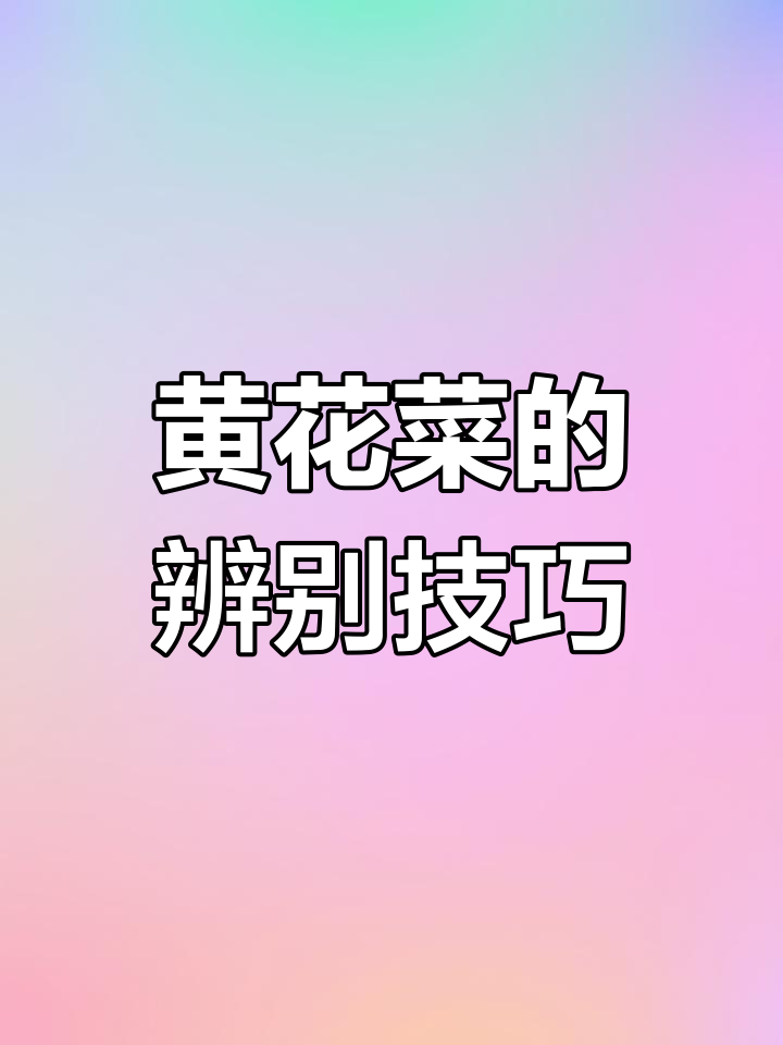 如何区分黄花菜和萱草?教你挑选营养又健康的品种
