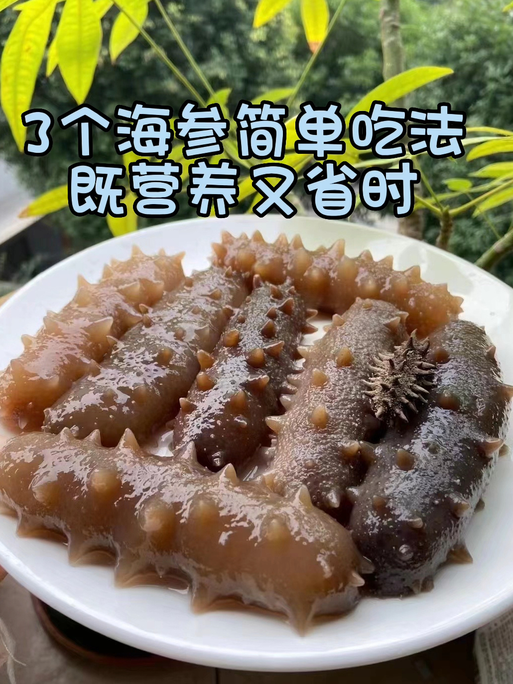 3个海参简单吃法、既营养又省时
