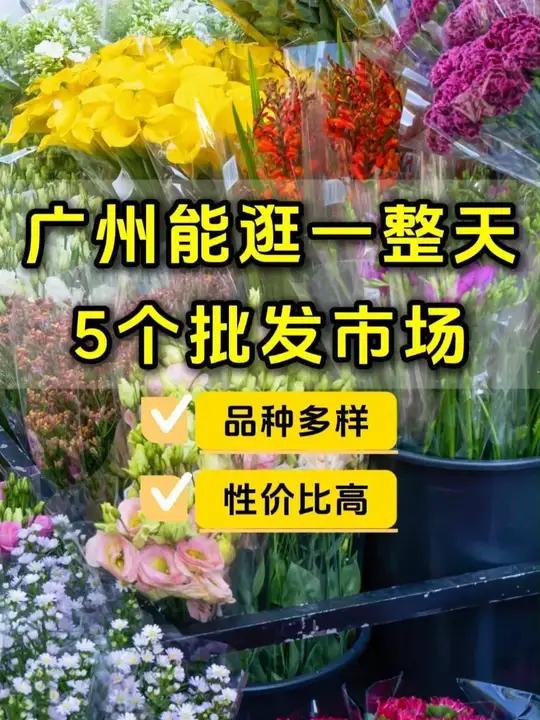 广州能逛一天的5家批发市场,衣服帽子、花鸟鱼虫、水果蔬菜应有尽有,收藏起来!空闲时候可以去