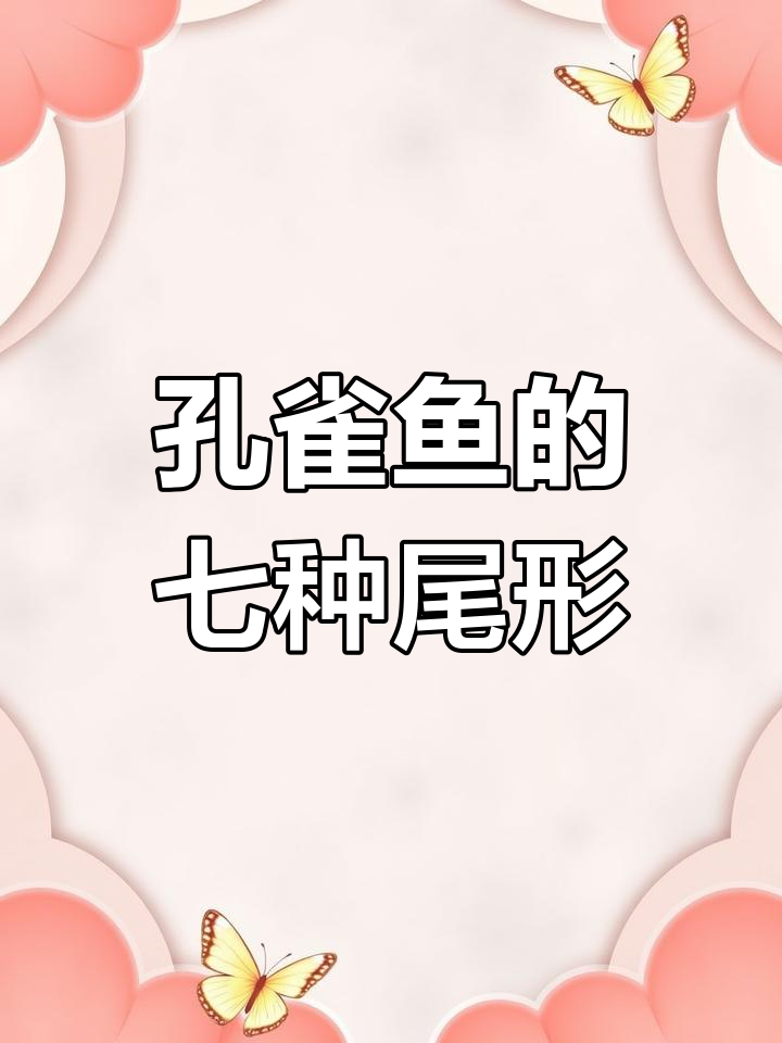 孔雀鱼尾型全解析:从三角到国旗,各种美丽尾巴一览