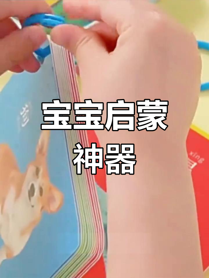 动物卡片,启蒙识字,宝宝早教益智玩具