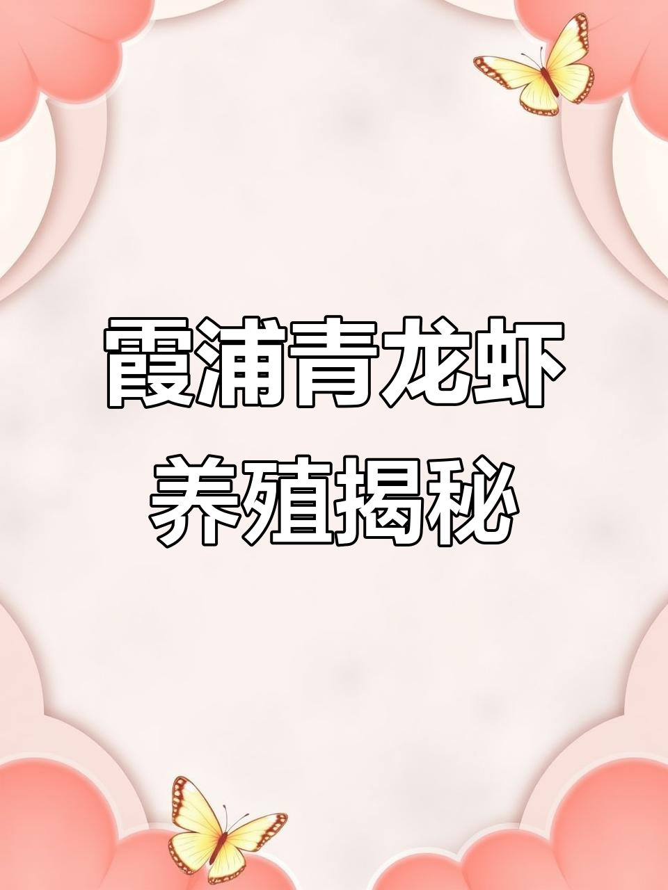 霞浦青龙虾养殖与赶海趣事,探秘水产魅力