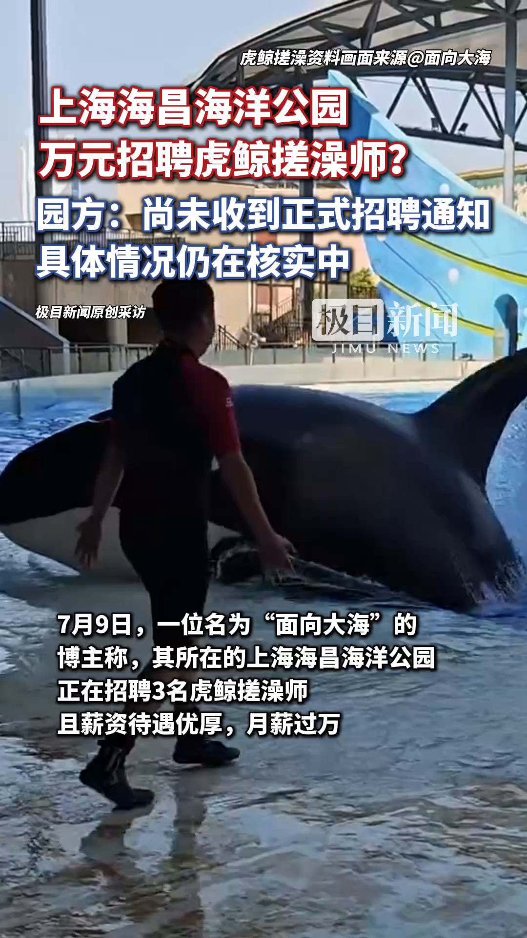 「视频」上海海昌海洋公园万元招聘虎鲸搓澡师?园方:尚未收到正式招聘通知,具体情况仍在核实中
