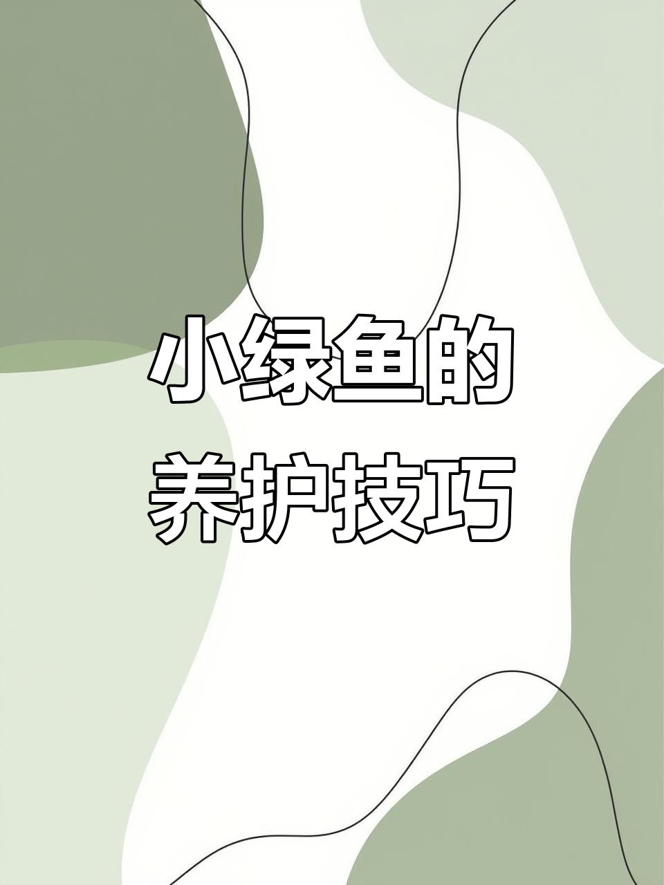 绿色小鱼来啦,新手养鱼必看!