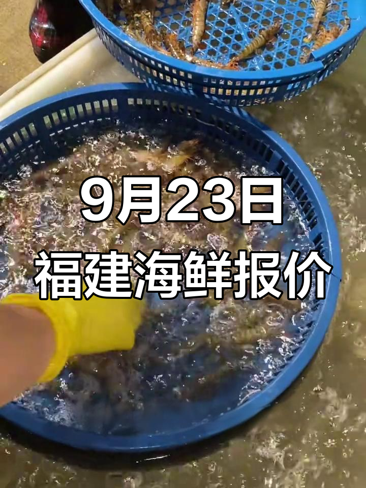 9月23日福建海鲜市场:梭子蟹、九节虾价格大揭秘