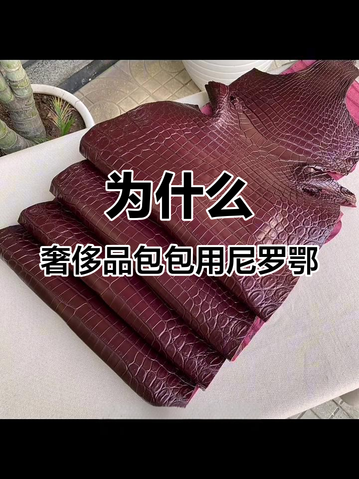 尼罗鳄皮料揭秘:为何奢侈品牌偏爱这种材质?