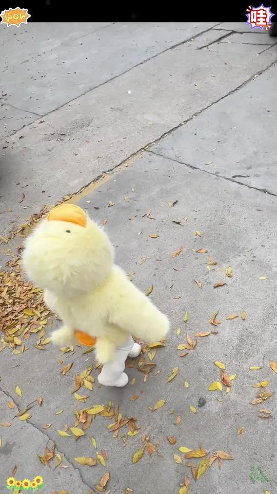 「萌宝可爱小鸭子外套」男女孩毛茸茸加绒加厚保暖萌宝可爱小鸭子外套毛茸茸加绒加厚2s