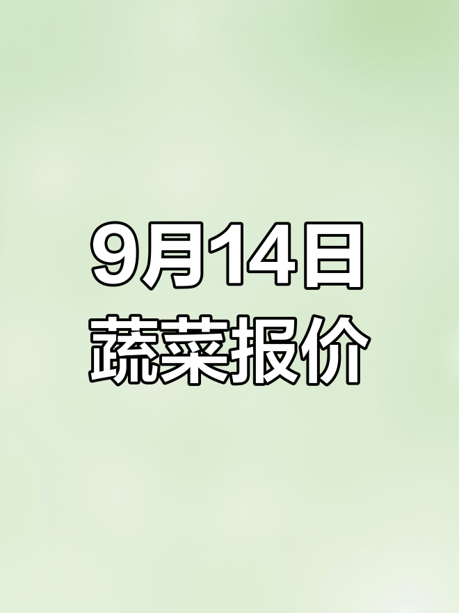 新疆九鼎市场蔬菜价格走势