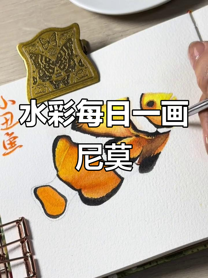 每天一幅水彩画,今天画出尼莫的快乐时光