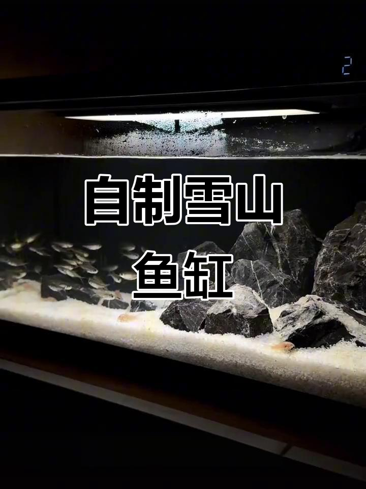 鱼缸造景DIY:用青龙石打造雪山景观,成本不到30元