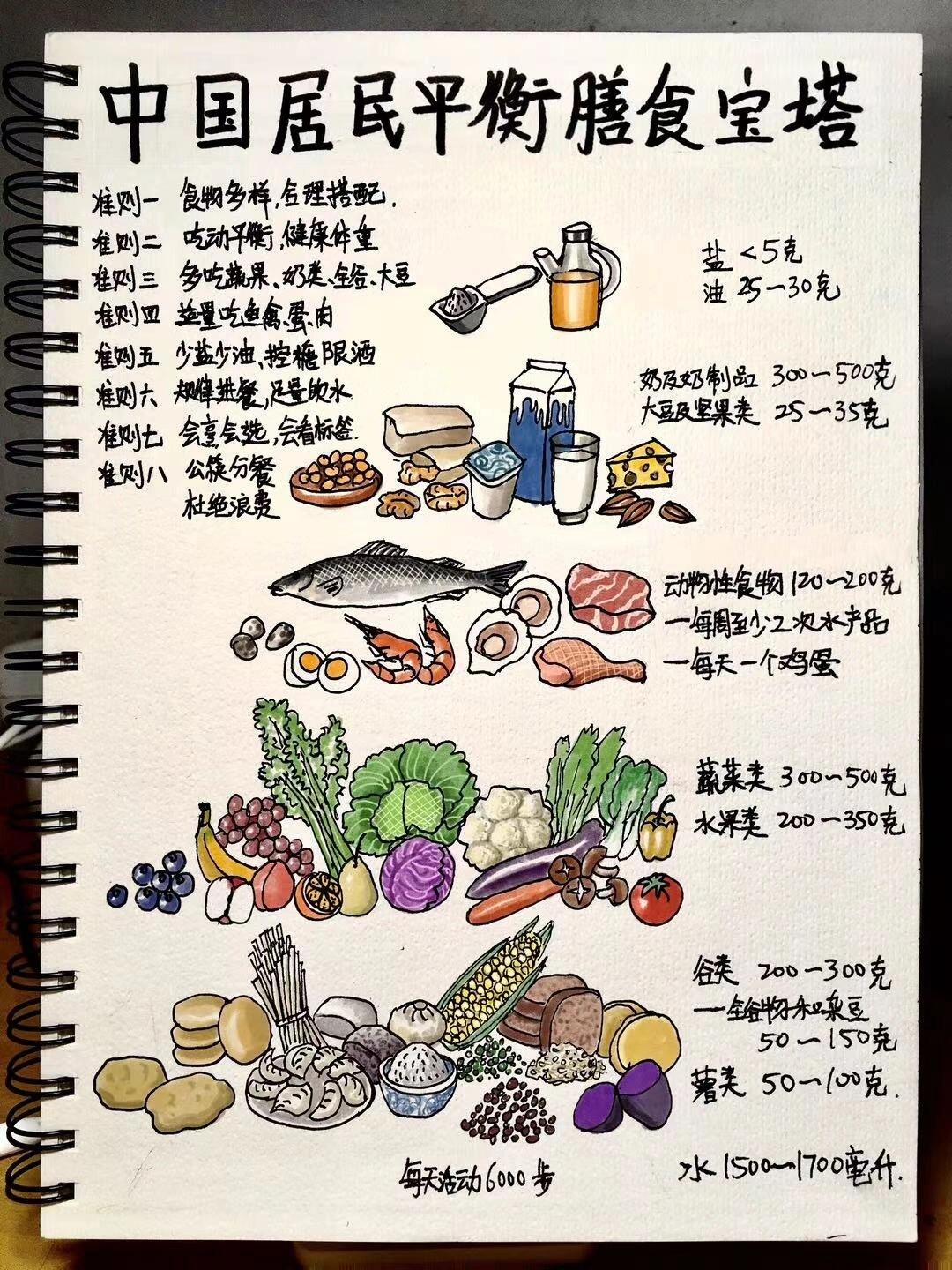 手绘中国居民平衡膳食宝塔,健康饮食