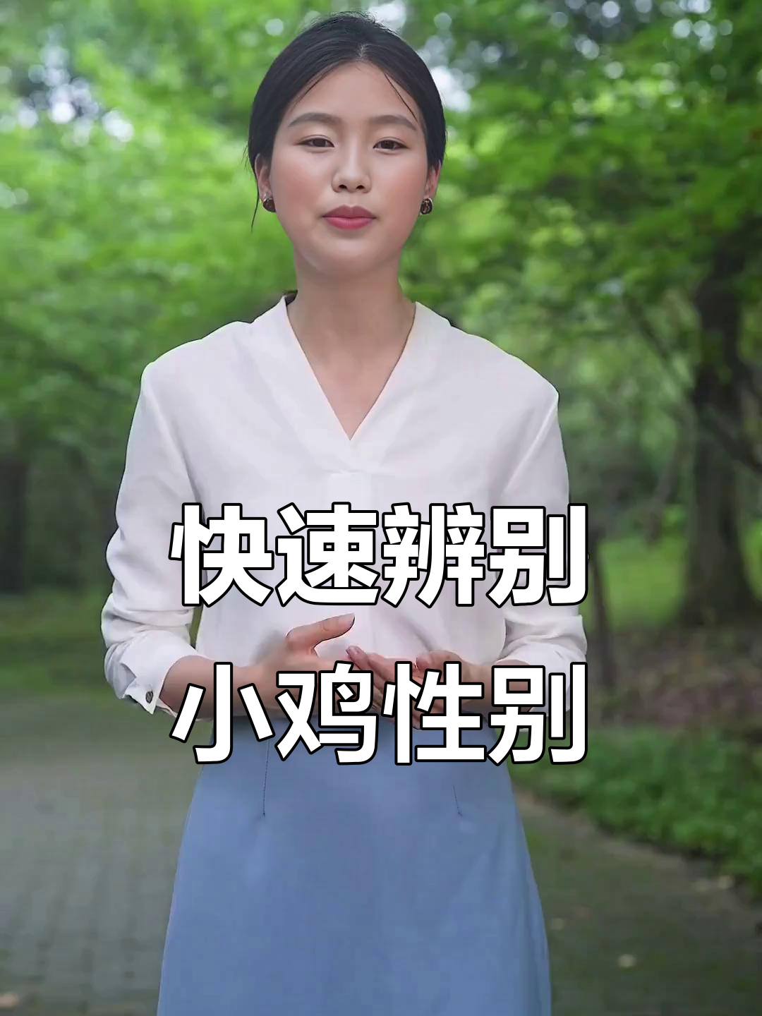 小鸡公母分辨技巧,轻松掌握养殖小知识