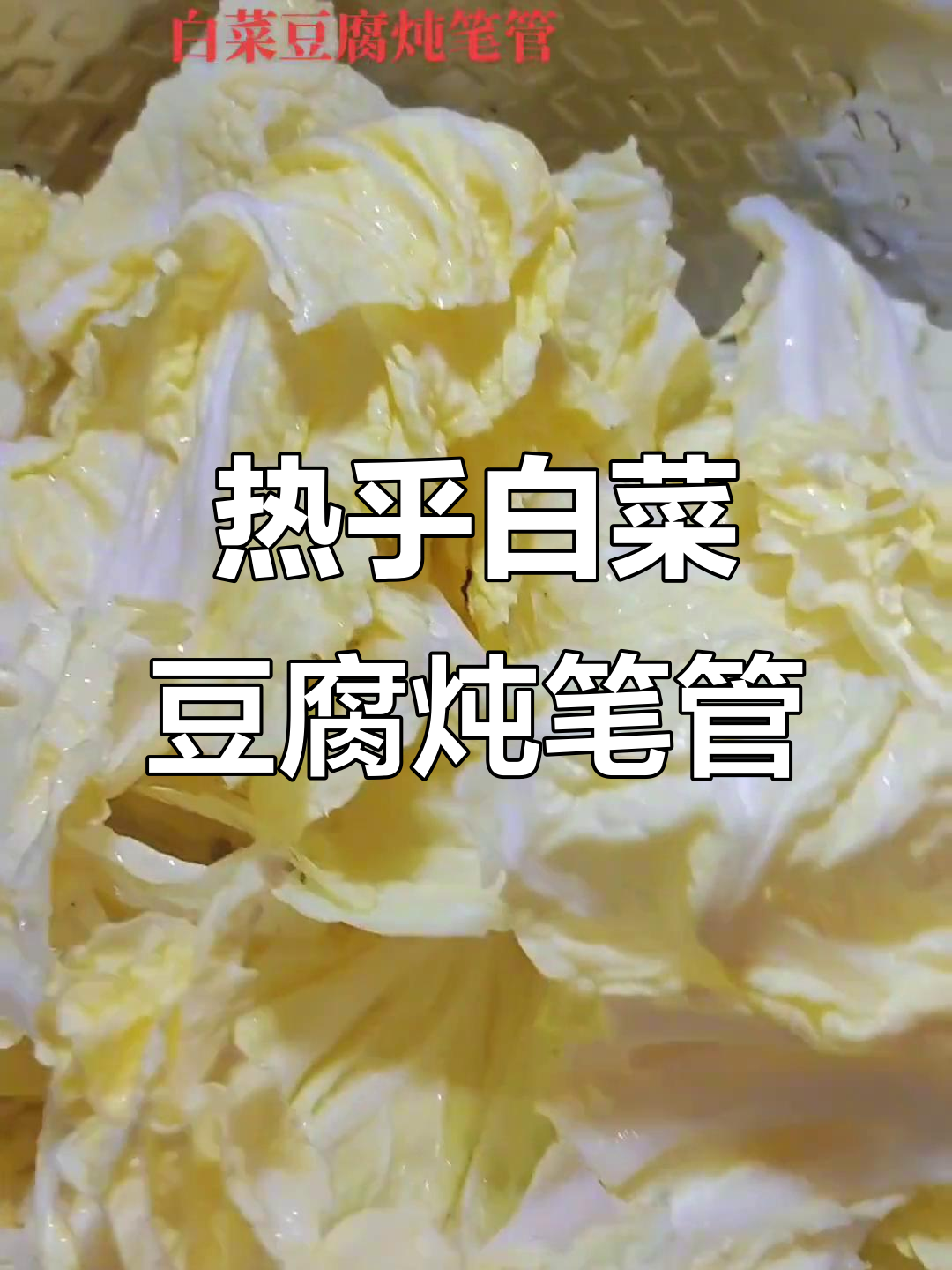 白菜豆腐炖笔管,热腾腾的冬季美味等你尝