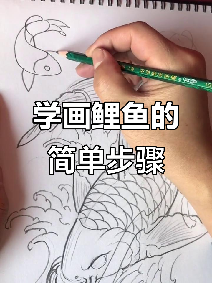 轻松学会画鲤鱼,动态口诀教你一步步掌握