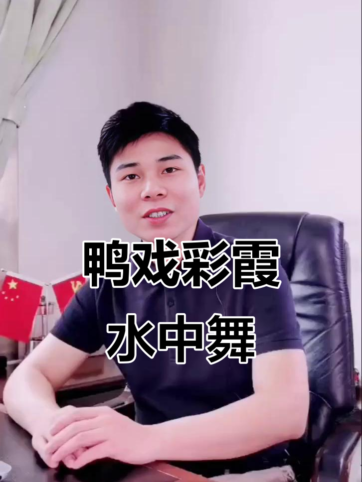 花鸭与彩霞的合诵,麻花鸭游进五彩云