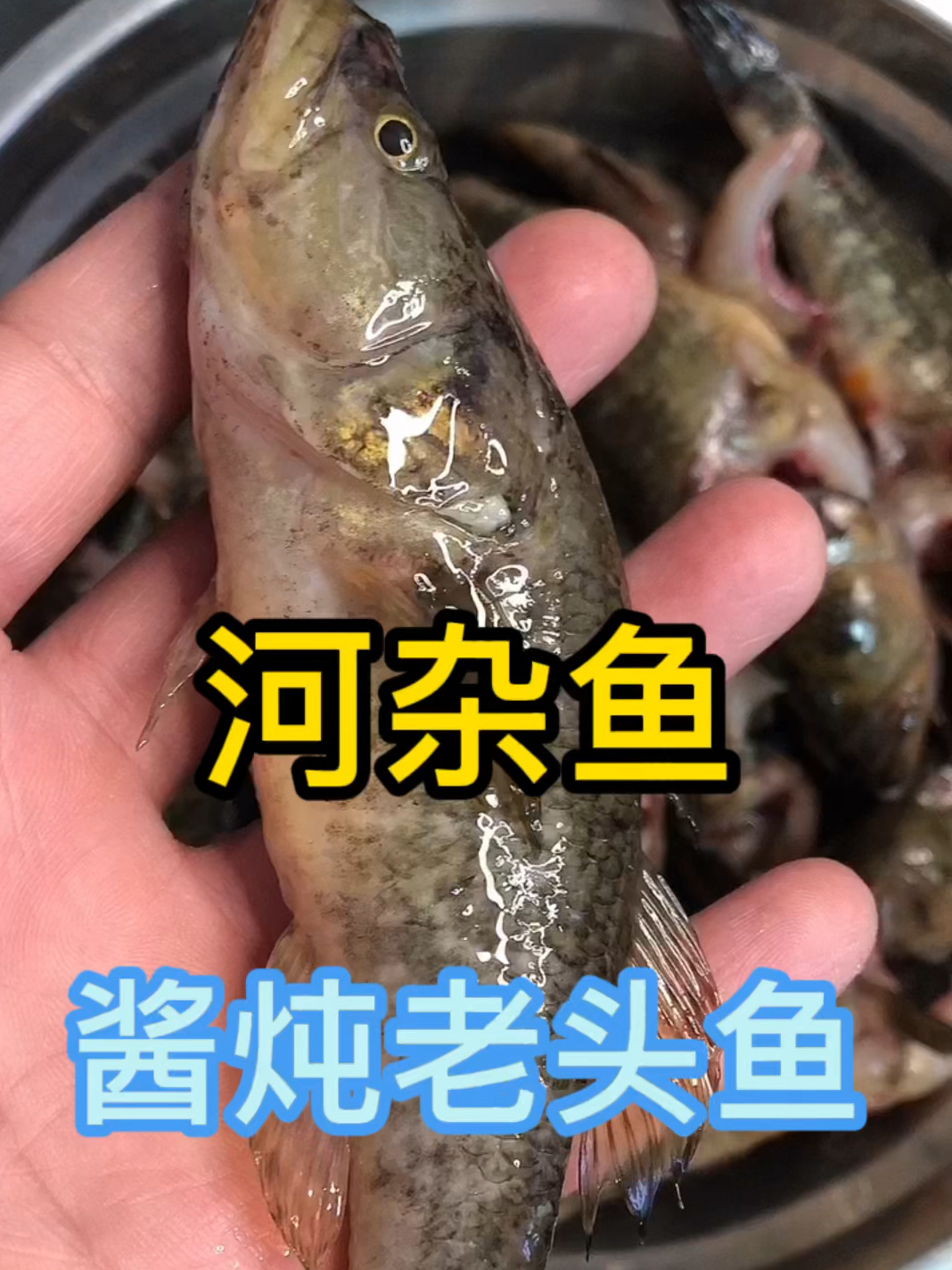 新年必吃美食,酱炖老头鱼(还阳鱼)河杂鱼